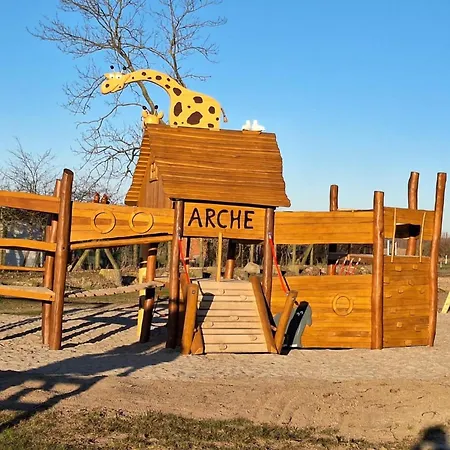 Stranddistel Rechts *